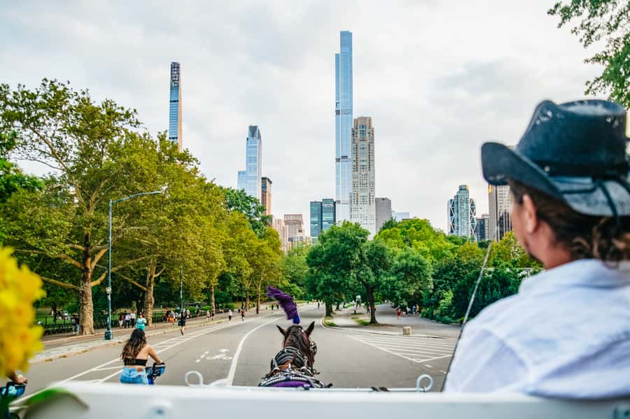 NYC: Guided Central Park Horse Carriage Ride - Cherry Hill and the Friends Fountain: a calm, pretty payoff