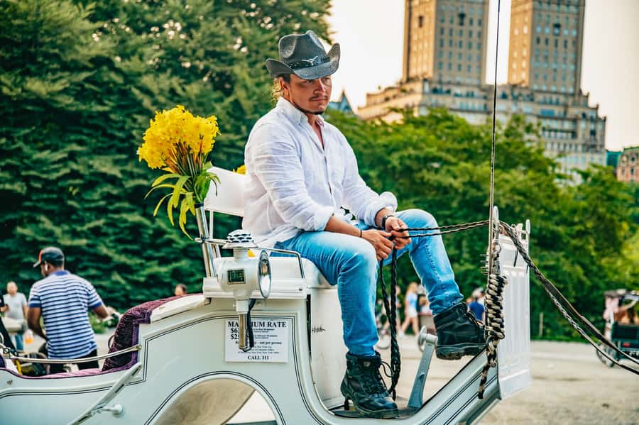 NYC: Guided Central Park Horse Carriage Ride - Literary Mall to Chess and Checker House: the park’s character in motion
