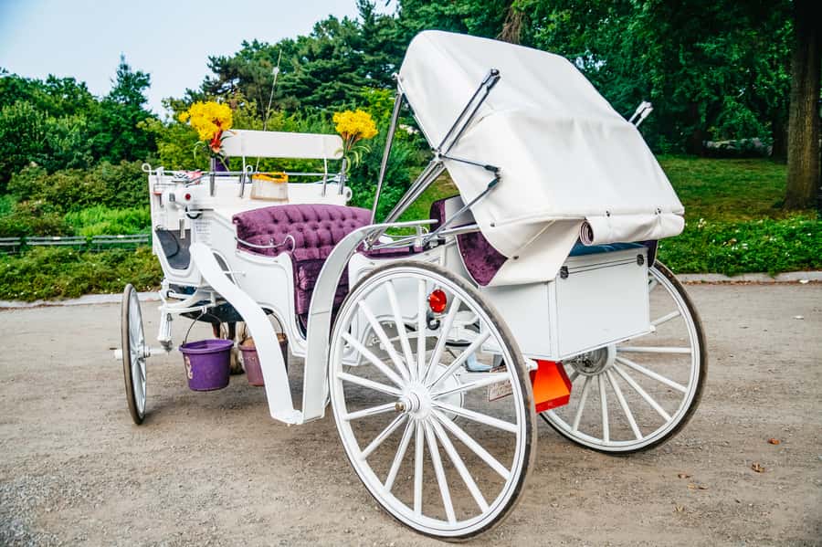 NYC: Guided Central Park Horse Carriage Ride - Photo stops and carriage pace: how to get the best results