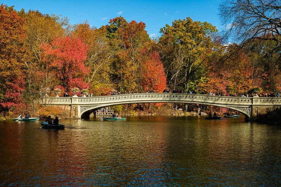 NYC: Guided Central Park Private Pedicab Tour - Key things to know before you go