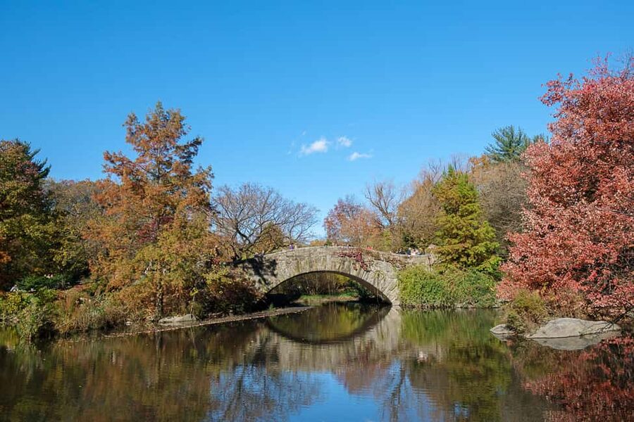NYC: Guided Central Park Private Pedicab Tour - Tavern on the Green and Sheep Meadow: classic park scenes without the walking penalty