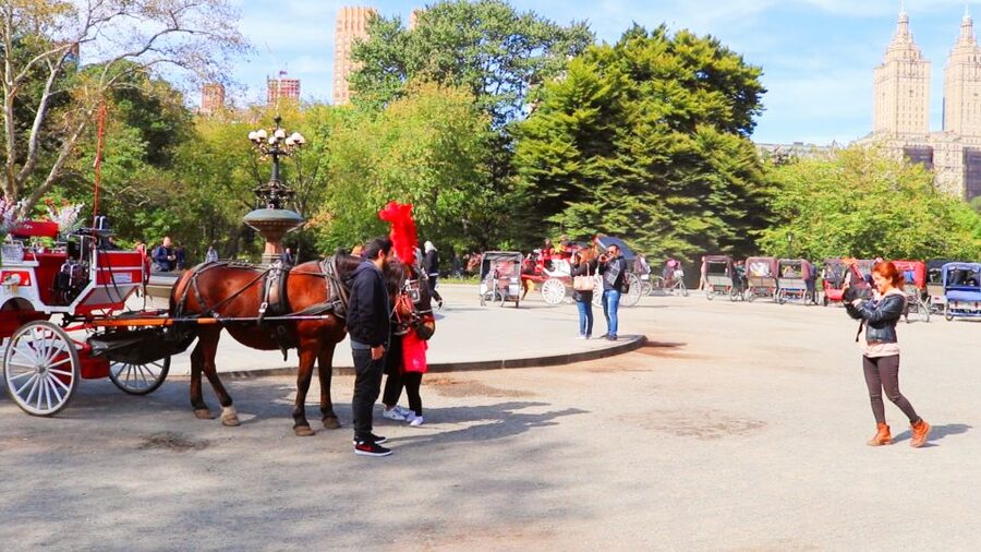 NYC: Guided Standard Central Park Carriage Ride (4 Adults) - Why Central Park by carriage is worth doing
