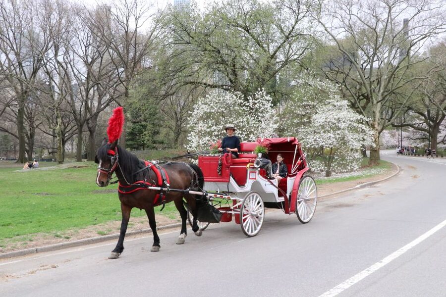NYC: Guided Standard Central Park Carriage Ride (4 Adults) - The route from José Julián Martí Statue to Bethesda Terrace