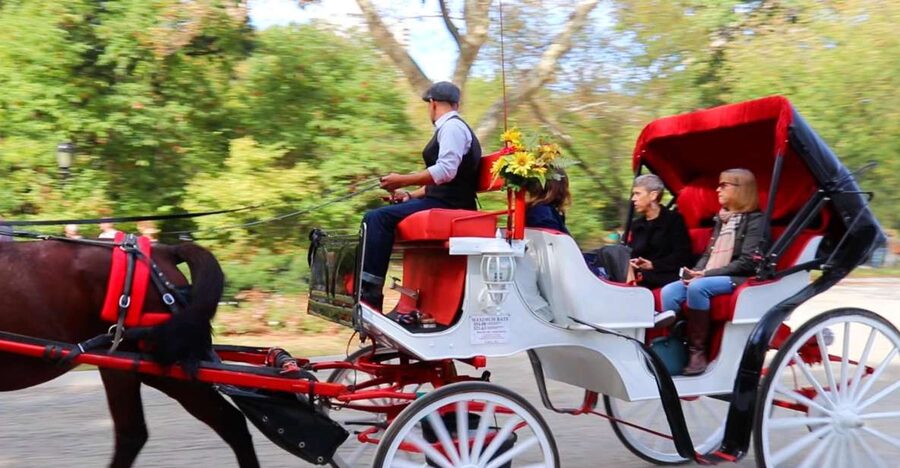 NYC: Guided Standard Central Park Carriage Ride (4 Adults) - Cherry Hill/Friends Fountain: the one stop you’ll want to plan for