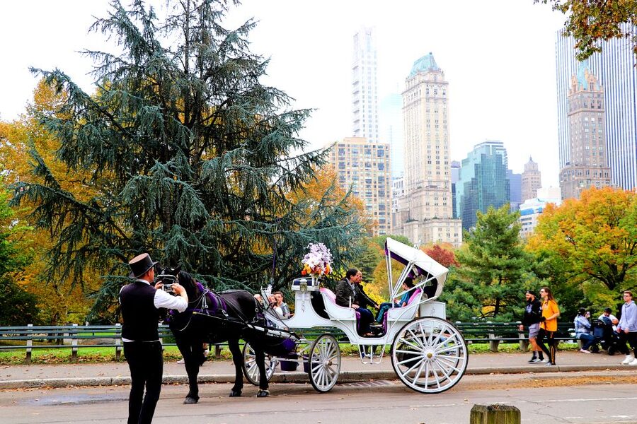 NYC: Guided Standard Central Park Carriage Ride (4 Adults) - Strawberry Fields and Sheep Meadow: time to feel the park, not just see it