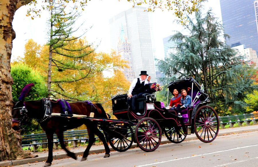 NYC: Guided Standard Central Park Carriage Ride (4 Adults) - The guide experience: what makes the narration feel practical