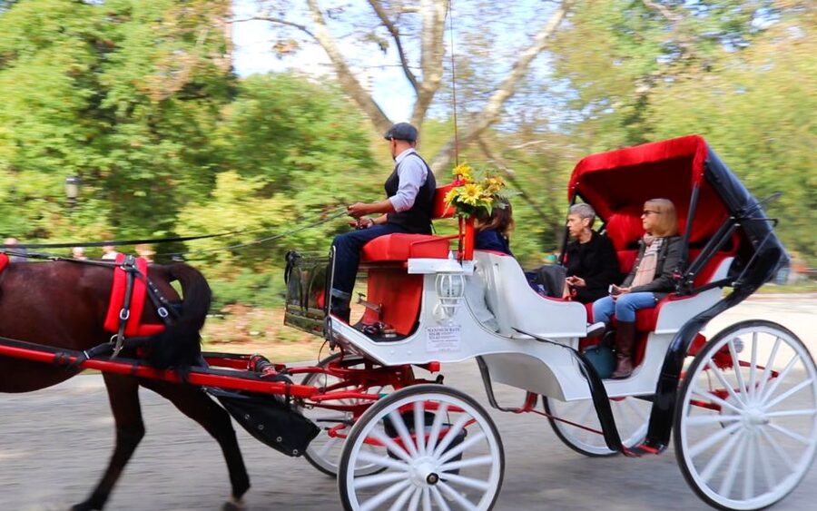 NYC: Guided Standard Central Park Carriage Ride (4 Adults) - Bethesda Fountain, Loeb Boathouse, and the stops that make it feel special