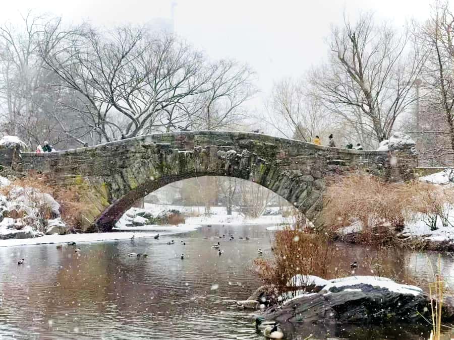 NYC: Home Alone 2 & Elf Locations Tour in Central Park Tour - Elf stops: Buddy’s snowball fight bridge and the park’s winter joy