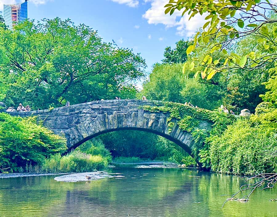 NYC: Home Alone 2 & Elf Locations Tour in Central Park Tour - Value check: is this $48 worth it for your trip?