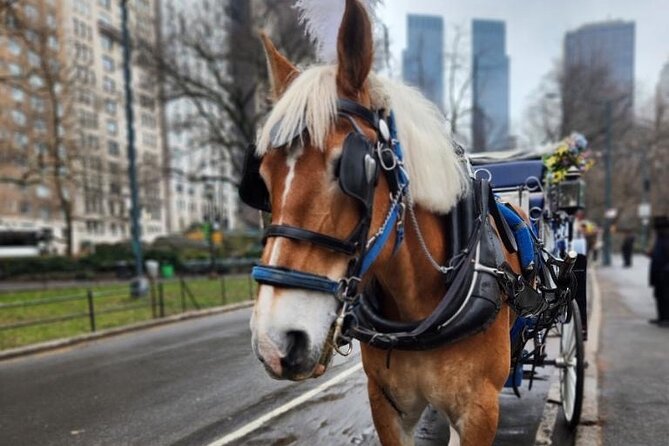 NYC Horse and Carriage Central Park Tours - Key Highlights Worth Your Time