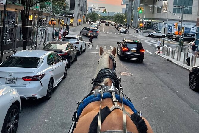 NYC Horse and Carriage Central Park Tours - Balto, the Relay to Nome, and the Kind of Story You’ll Share Later