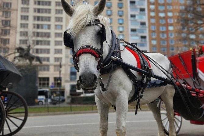NYC Horse and Carriage Central Park Tours - The Park for All Ages: Carousel, Wollman Rink, Chess & Checkers, and the Children’s District