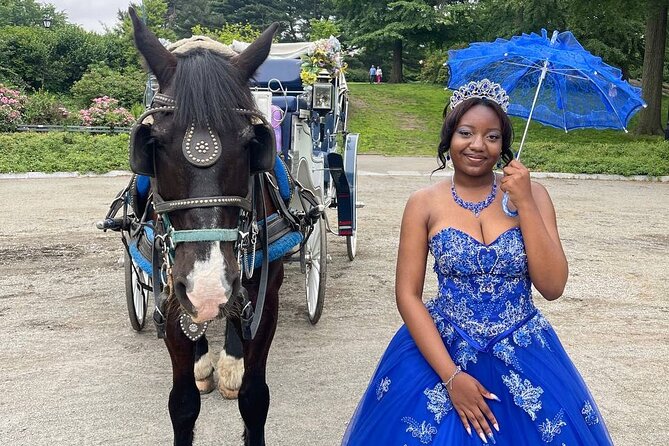 NYC Horse and Carriage Central Park Tours - Where You Start: The Ritz-Carlton Spot and How to Keep the Ride Stress-Free