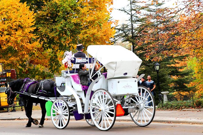 NYC Horse Carriage Ride in Central Park (50 Min. Up to 4 Adults) - Bow Bridge to Gapstow Bridge: Lake Views and Photo-Friendly Pacing