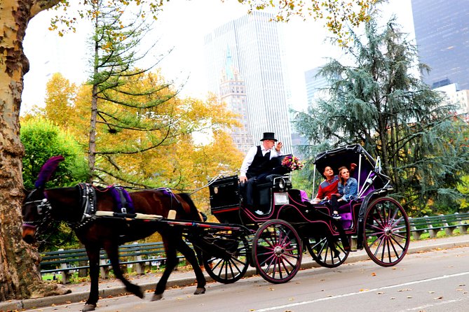 NYC Horse Carriage Ride in Central Park (50 Min. Up to 4 Adults) - Horse Care, Roof Options, Blankets, and Guide Photos That Actually Matter