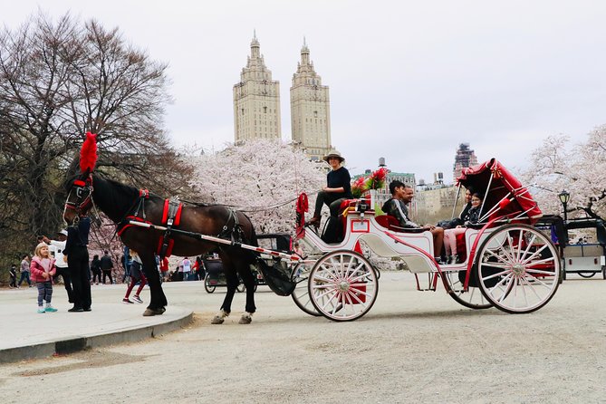 NYC Horse Carriage Ride in Central Park (50 Min. Up to 4 Adults) - From Balto to Bethesda Terrace: The Early Stops That Set the Scene