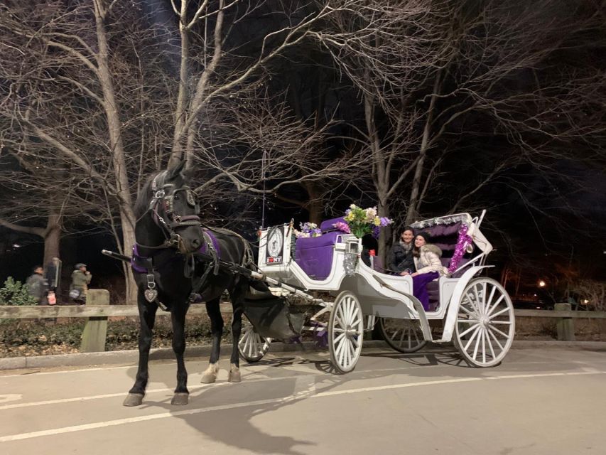 NYC Horse Carriage Ride in Central Park (65 min) - Key points before you go