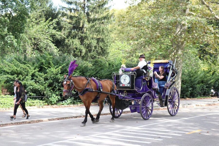NYC Horse Carriage Ride in Central Park (65 min) - The rest of the included sights: what you’ll see while you ride