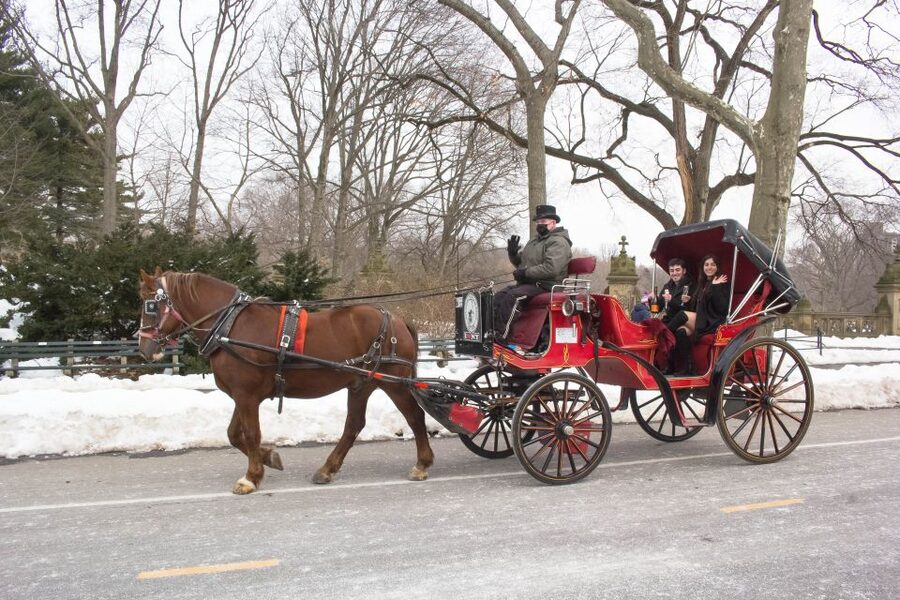 NYC Horse Carriage Ride in Central Park (65 min) - What a 65-minute horse ride really gives you in Central Park