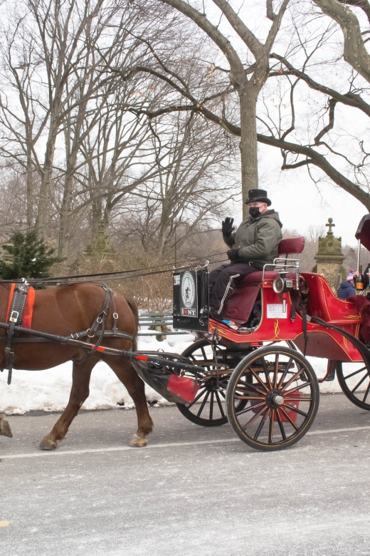 NYC Horse Carriage Ride in Central Park (65 min) - The route start at Wollman Rink and the first classic-name sightings