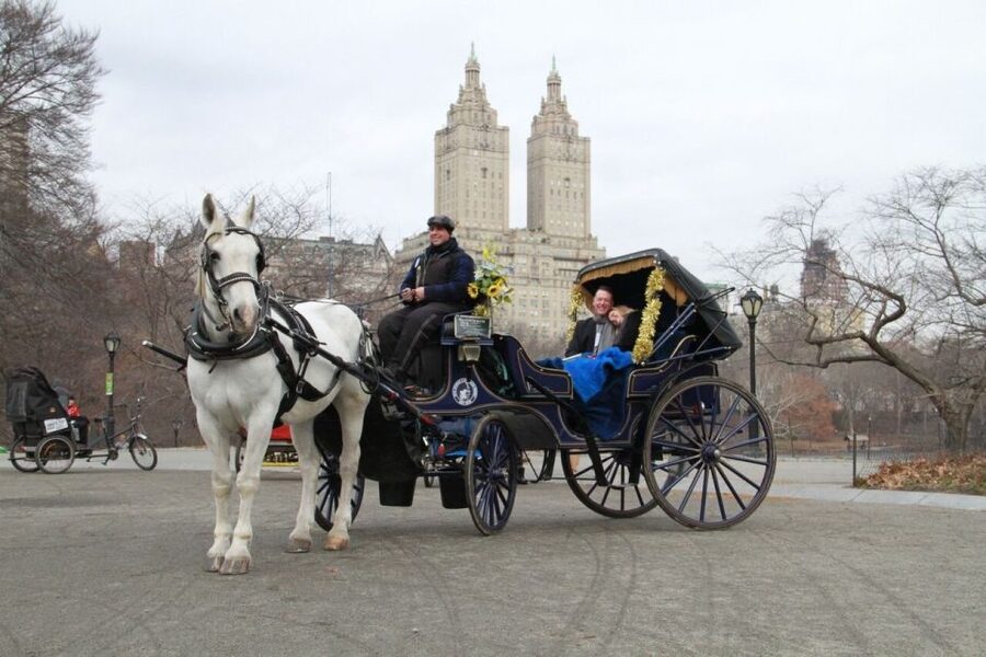 NYC Horse Carriage Ride in Central Park (65 min) - Photo stop at Bethesda Fountain: your timed break for the big picture