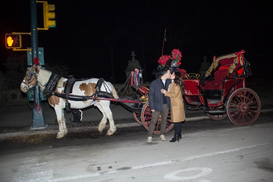NYC Horse Carriage Ride in Central Park (65 min) - Cherry Hill Fountain and the second photo break you can plan around