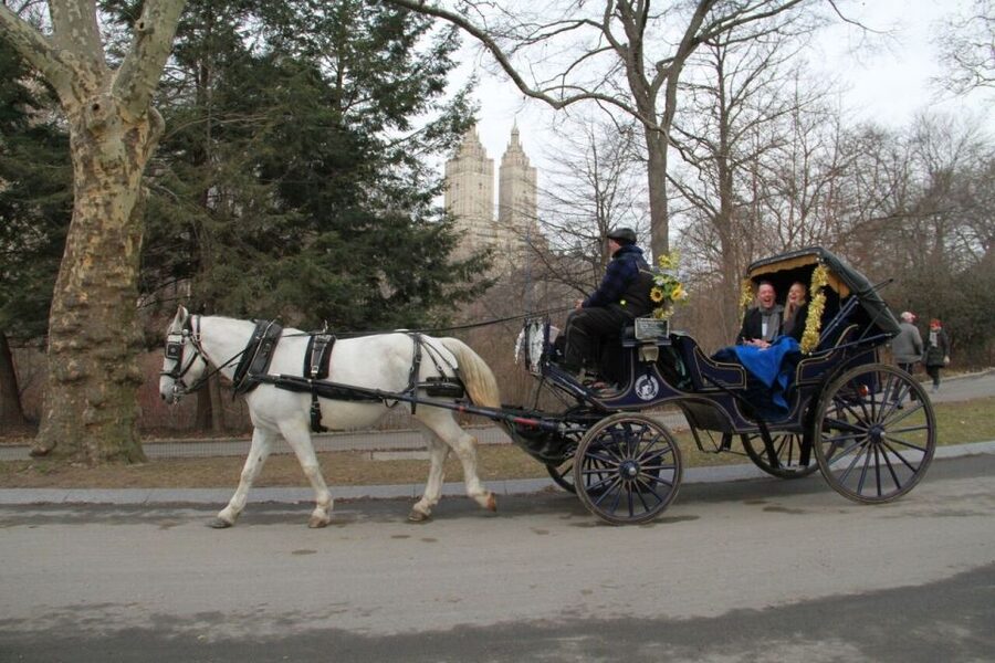 NYC Horse Carriage Ride in Central Park (65 min) - Coachman stories: Central Park movie sites and celebrity residences