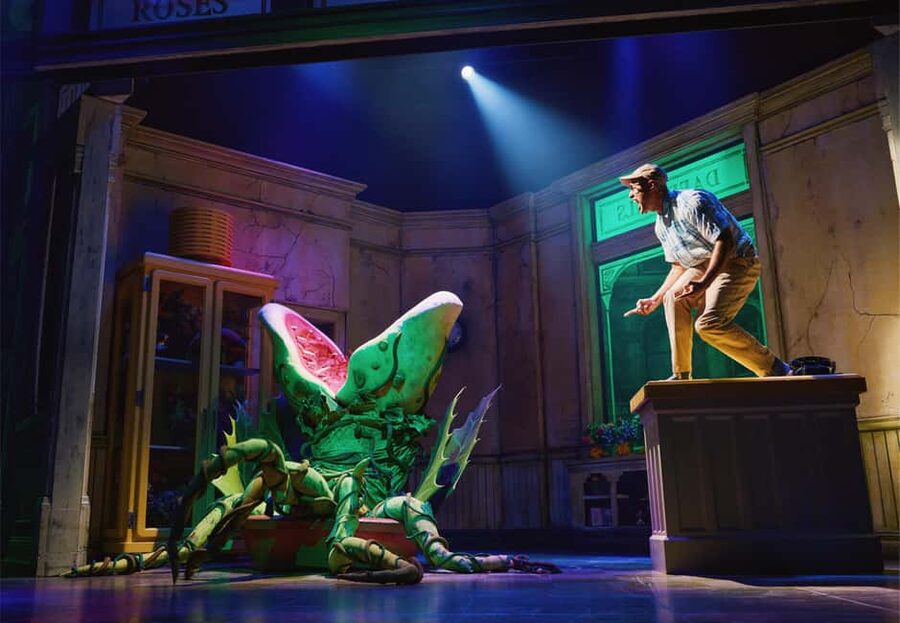 NYC: Little Shop of Horrors Off-Broadway Ticket - The sound: doo-wop, rock and roll, and Motown energy