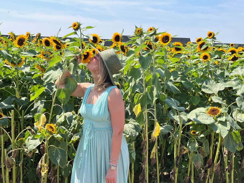 NYC: Long Island Sommelier-Guided Wine Tasting Tour - Who This Tour Fits Best (and Who Might Skip It)