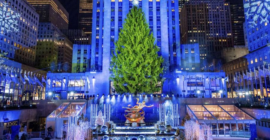 NYC: Magical Christmas Lights Carriage Ride - Key things to know before you go