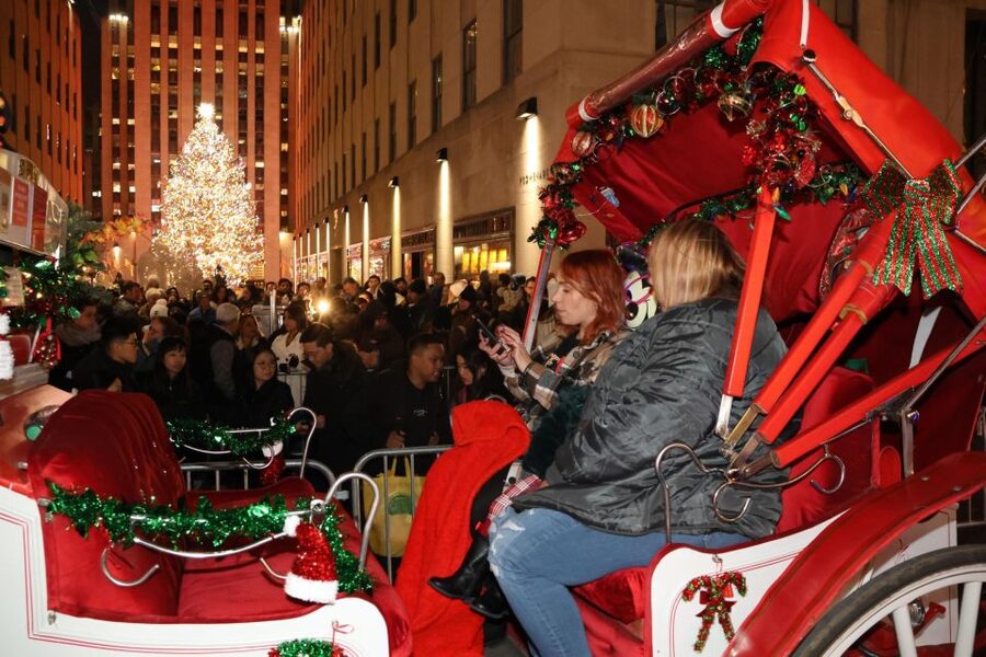 NYC: Magical Christmas Lights Carriage Ride - Price and value: $415 per group up to 4, and who benefits most