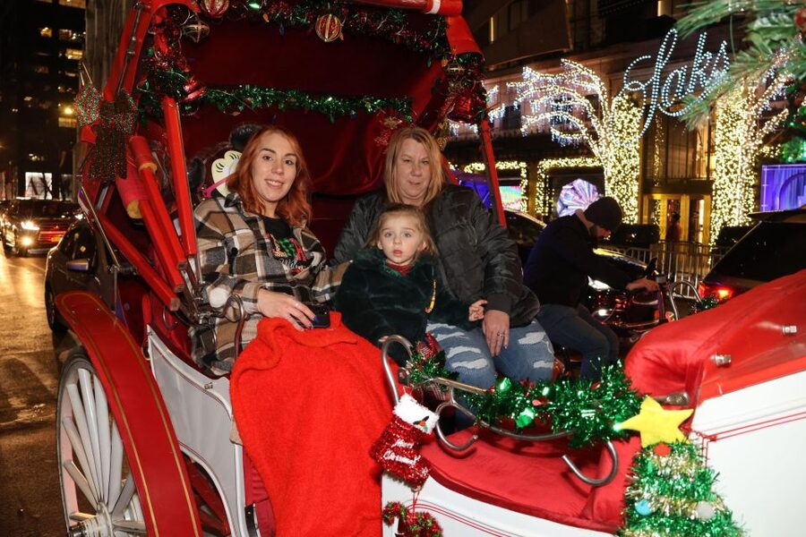 NYC: Magical Christmas Lights Carriage Ride - Rockefeller Center tree time: the photo-stop moment you’ll remember