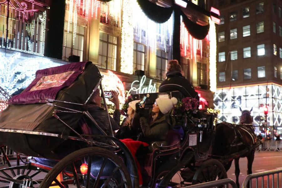NYC: Magical Christmas Lights Carriage Ride - Saks Fifth Avenue Light Show: the fairy-tale stretch between icons