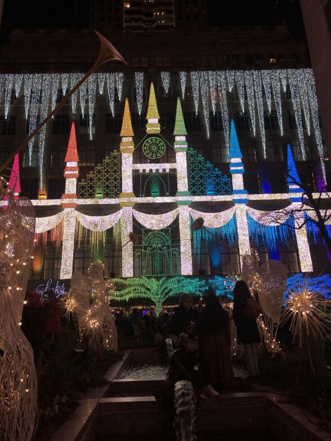 NYC: Magical Christmas Lights Carriage Ride - Horses, treats, and why the ride feels well managed