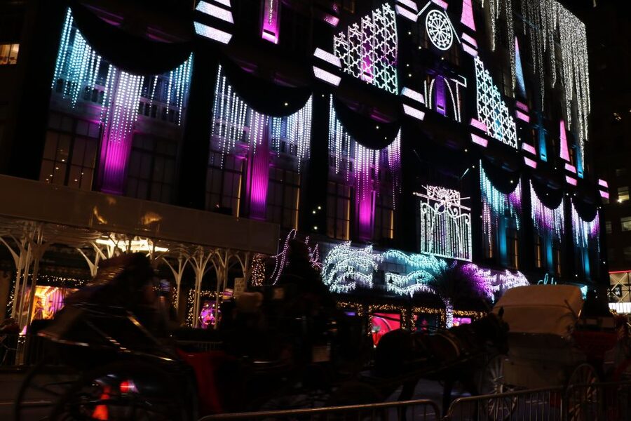 NYC: Magical Christmas Lights Carriage Ride - Finding the meeting point at Jose Marti Statue (and starting on time)
