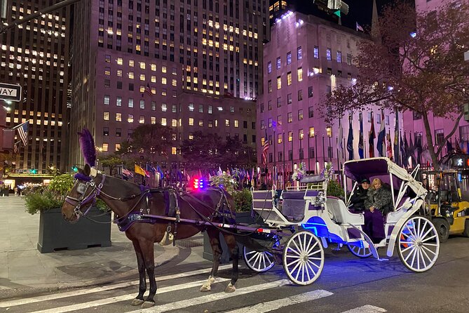 NYC : Magical Christmas Lights Private Horse Carriage Ride - Key things that make this carriage ride worth your time