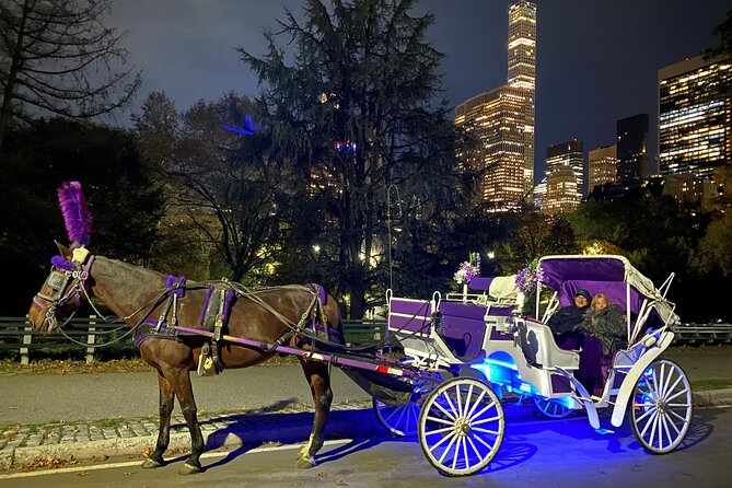 NYC : Magical Christmas Lights Private Horse Carriage Ride - What you’re really buying with a Christmas lights carriage ride