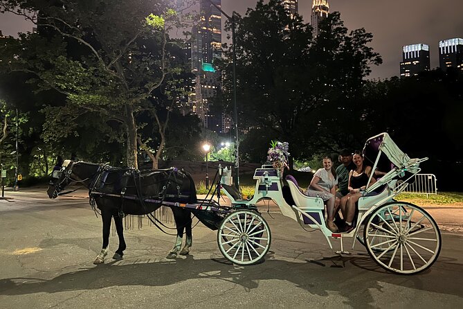 NYC : Magical Christmas Lights Private Horse Carriage Ride - Horses and drivers: why the people part matters as much as the lights