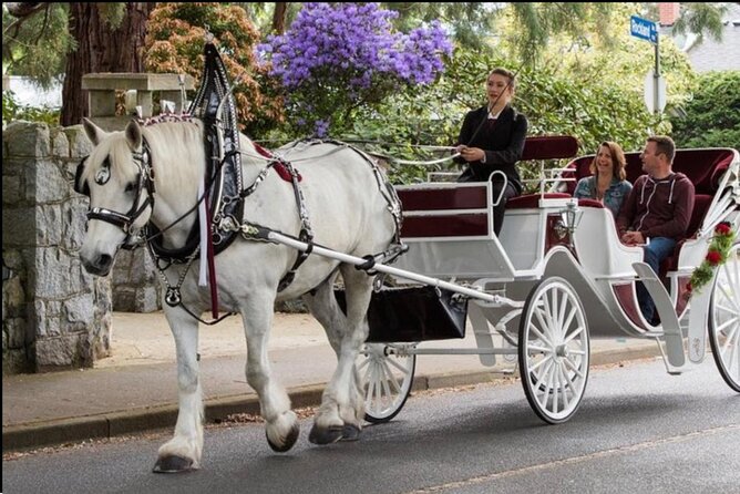 NYC : Magical Christmas Lights Private Horse Carriage Ride - Price and value: $250 per group is a different kind of deal