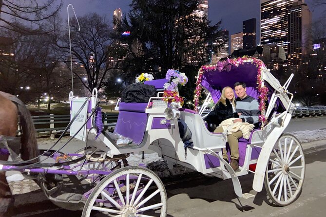 NYC : Magical Christmas Lights Private Horse Carriage Ride - Who this carriage ride is best for