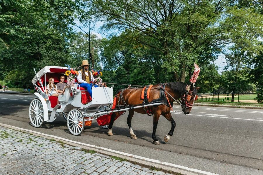 NYC MAGICAL NIGHT TIME RIDE Central Park/Rockefeller Center - Key highlights at a glance