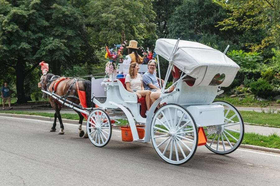 NYC MAGICAL NIGHT TIME RIDE Central Park/Rockefeller Center - Who Should Book This Ride