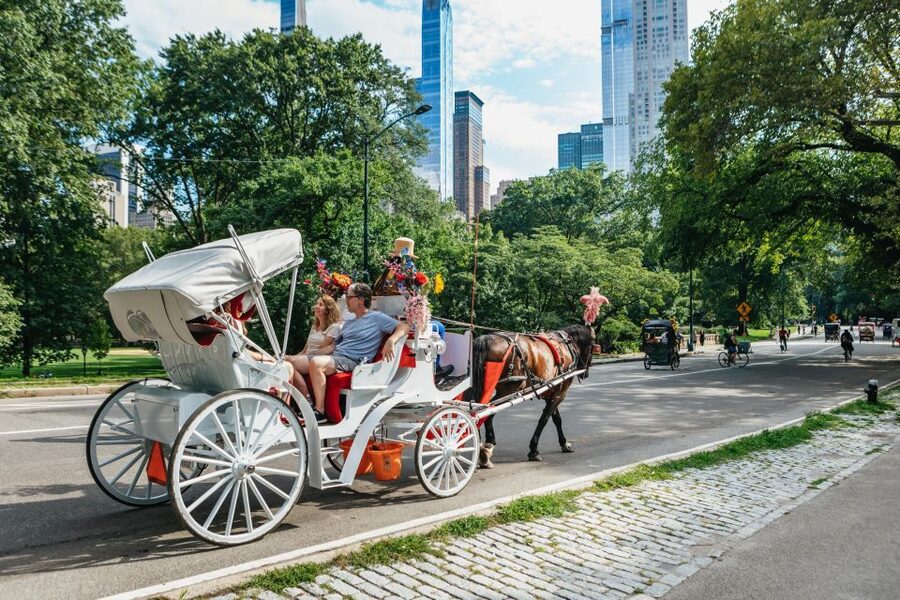 NYC MAGICAL NIGHT TIME RIDE Central Park/Rockefeller Center - Best Time to Go: Regular Nights vs Holiday Season