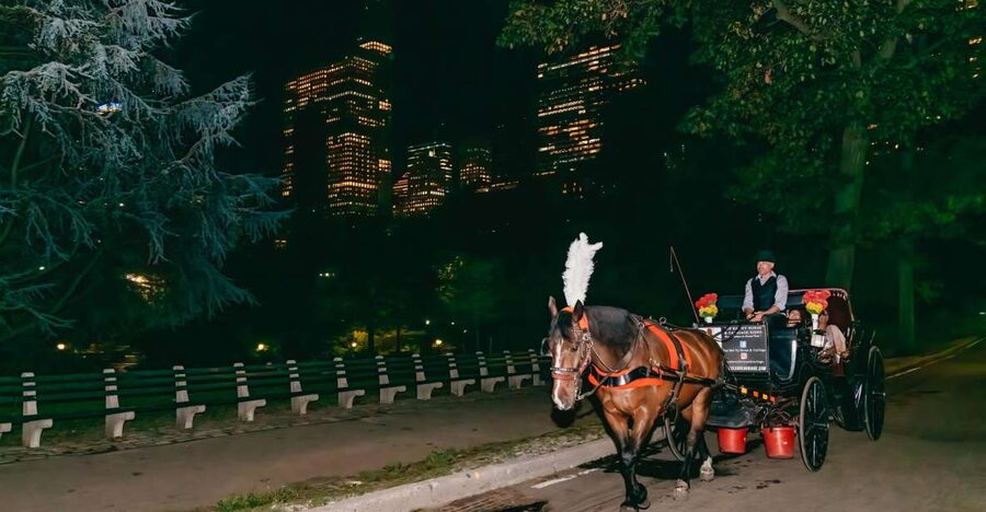NYC MOONLIGHT HORSE CARRIAGE RIDE through Central Park - Key highlights to know before you go