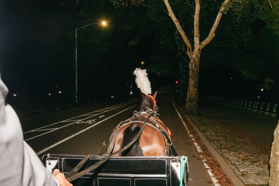 NYC MOONLIGHT HORSE CARRIAGE RIDE through Central Park - What could go wrong on a short carriage tour (and how to manage it)