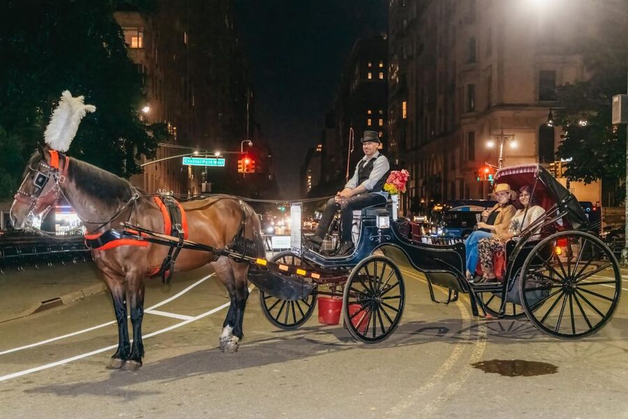 NYC MOONLIGHT HORSE CARRIAGE RIDE through Central Park - Central Park South to the Top Hat horse line: your night starts fast