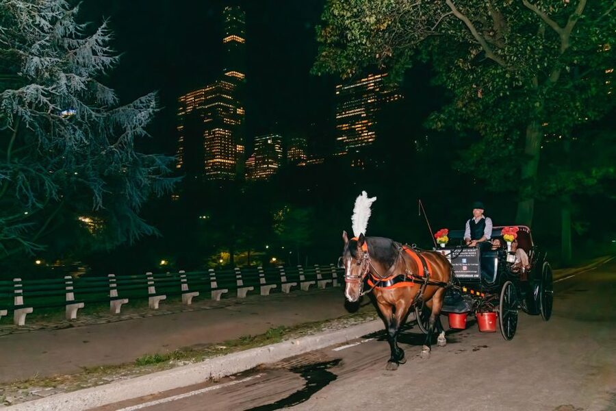 NYC MOONLIGHT HORSE CARRIAGE RIDE through Central Park - Comfort extras that matter: blankets, petting the horses, and a calmer pace