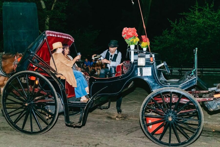 NYC MOONLIGHT HORSE CARRIAGE RIDE through Central Park - The Southeast Central Park route: from Cop Cot vibes to Wollman Rink lights