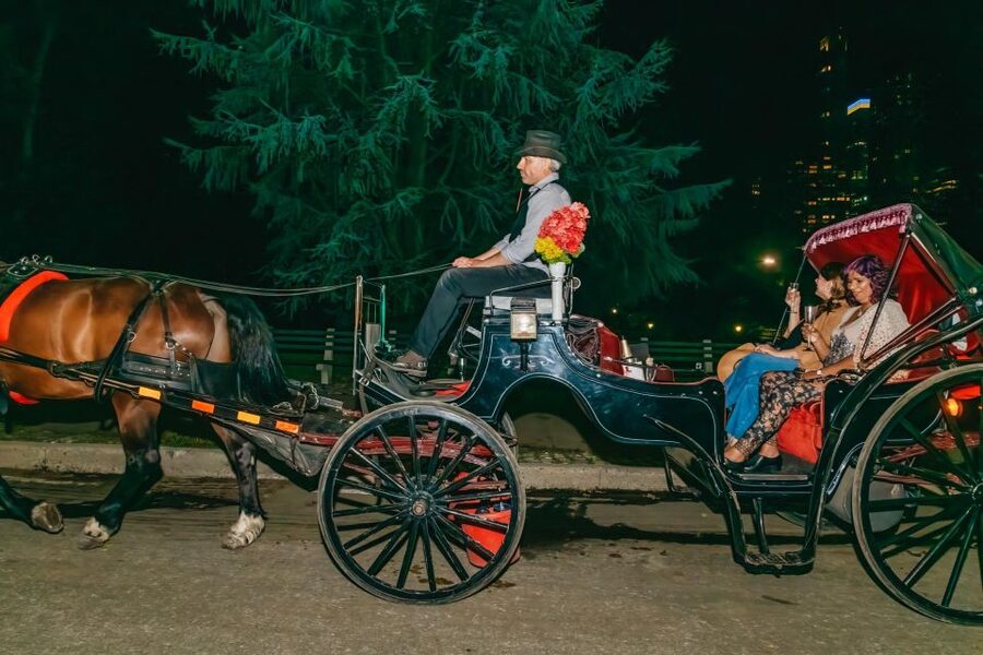 NYC MOONLIGHT HORSE CARRIAGE RIDE through Central Park - Guided stops that feel made for night photos: The Mall, Literary Walk, and the Zoo
