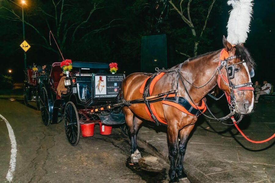 NYC MOONLIGHT HORSE CARRIAGE RIDE through Central Park - Boat pond to Bethesda Terrace: where the carriage ride earns its keep